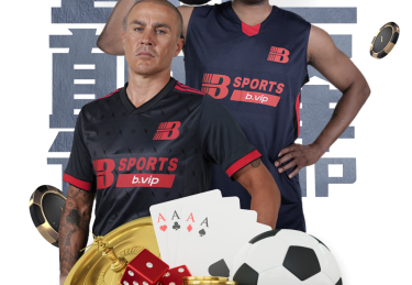 B体育官网推出百家乐VIP服务：尊贵待遇与专属活动的体验报告